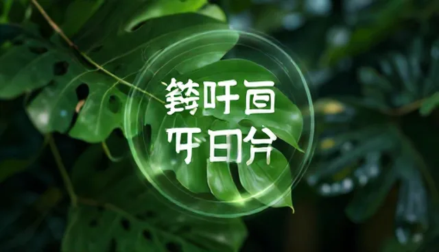 企业合规应用场景:选择依据与适用条件说明